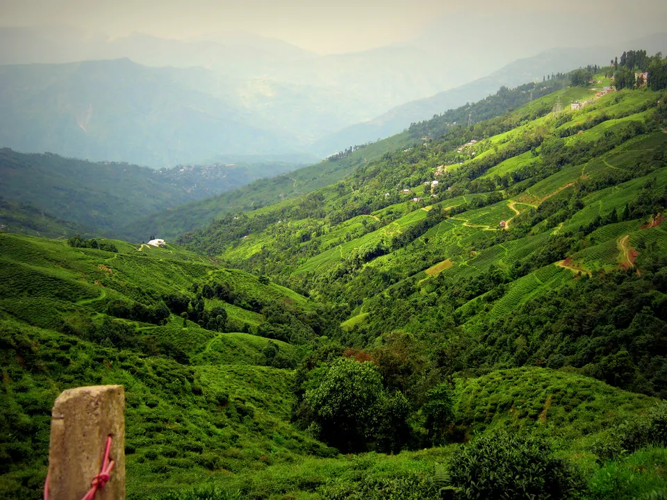 North Bengal & Sikkim